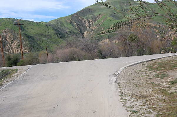 DSC 0205
