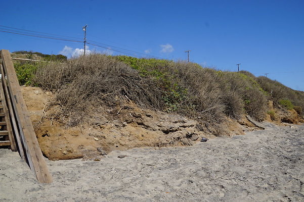 Leo.Carrillo.SB.Sandy.66
