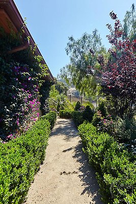 exotic-36 image 90