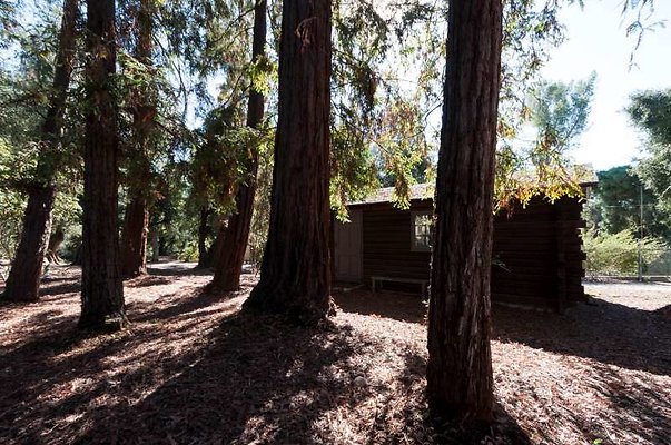 3683 cabin2