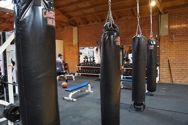 Hayden.Gym.WLA.29