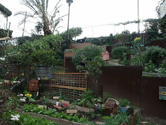 Manzanita.St.Comm.Garden.10