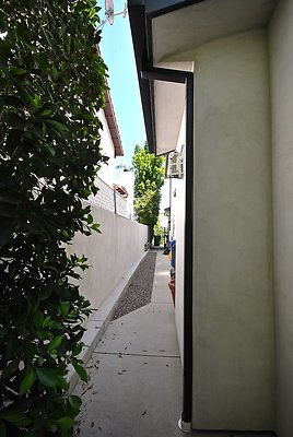 DSC 3627