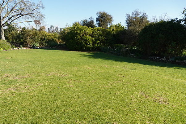 So.Coast.Grass.Lower.Meadow.11