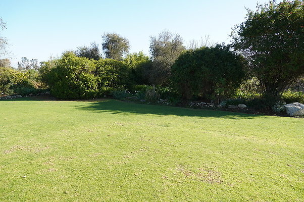 So.Coast.Grass.Lower.Meadow.02