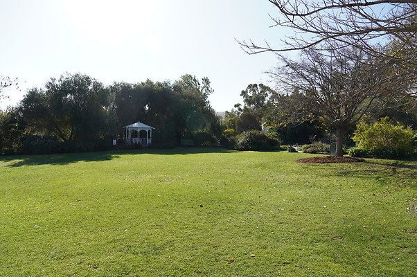 So.Coast.Grass.Lower.Meadow.15