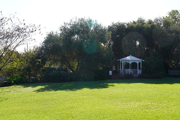 So.Coast.Grass.Lower.Meadow.18