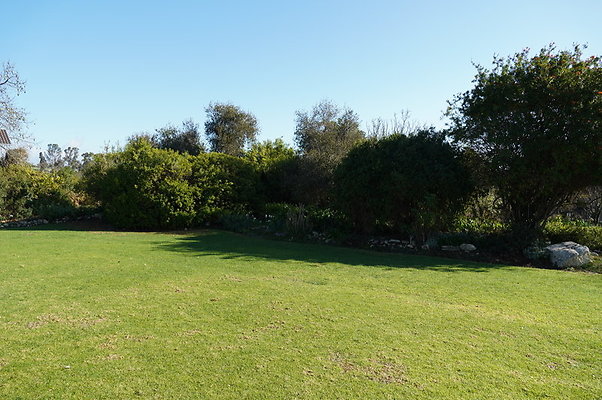 So.Coast.Grass.Lower.Meadow.12