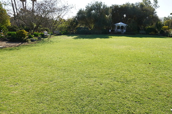 So.Coast.Grass.Lower.Meadow.07