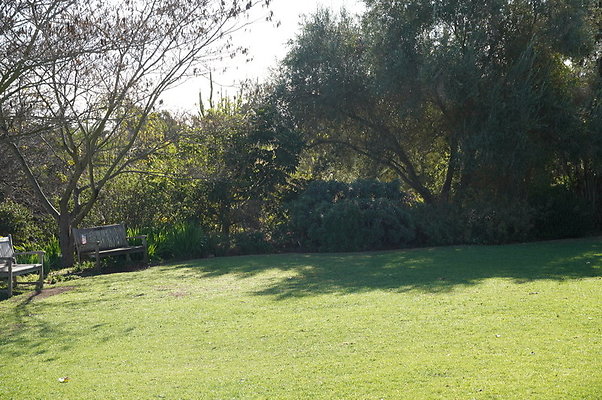 So.Coast.Grass.Lower.Meadow.06