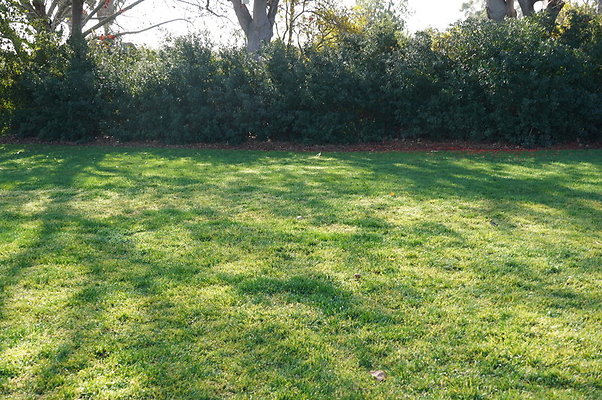 So.Coast.Grass.Upper.Meadow.25