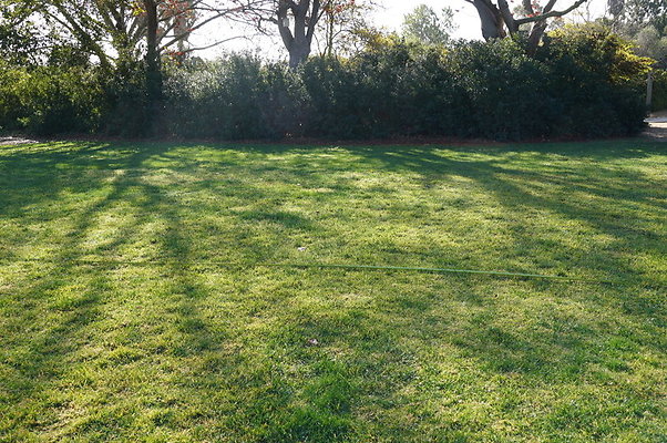 So.Coast.Grass.Upper.Meadow.29