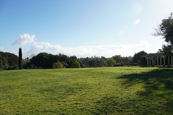 So.Coast.Grass.Upper.Meadow.35