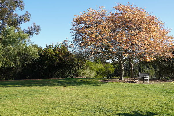 So.Coast.Grass.Upper.Meadow.56