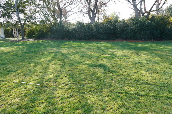 So.Coast.Grass.Upper.Meadow.24