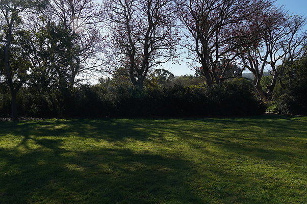 So.Coast.Grass.Upper.Meadow.46