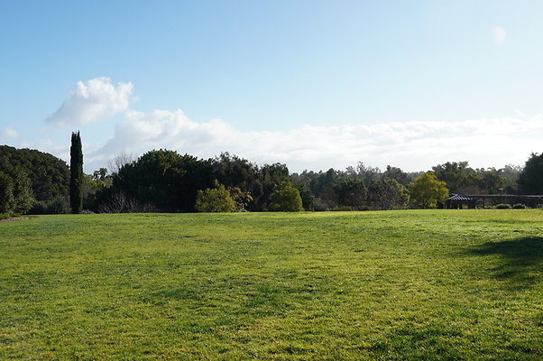 So.Coast.Grass.Upper.Meadow.36