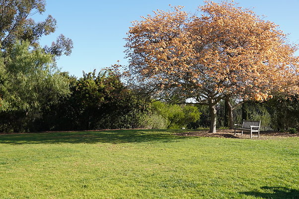 So.Coast.Grass.Upper.Meadow.57