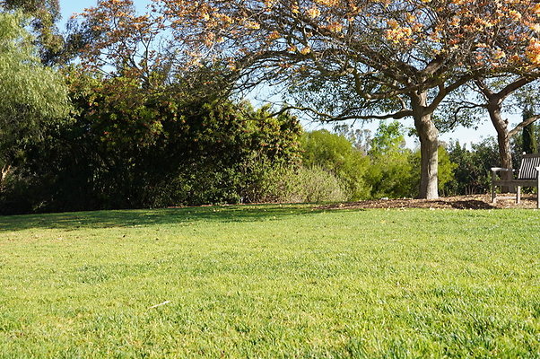 So.Coast.Grass.Upper.Meadow.60