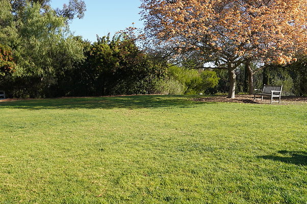 So.Coast.Grass.Upper.Meadow.58