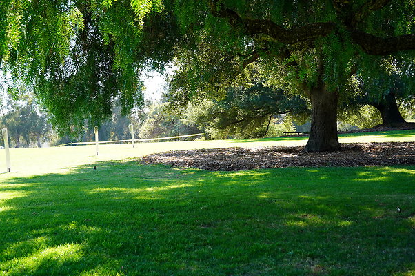 Will.Rogers.SP.Grass.10