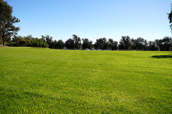 Will.Rogers.SP.Grass.02