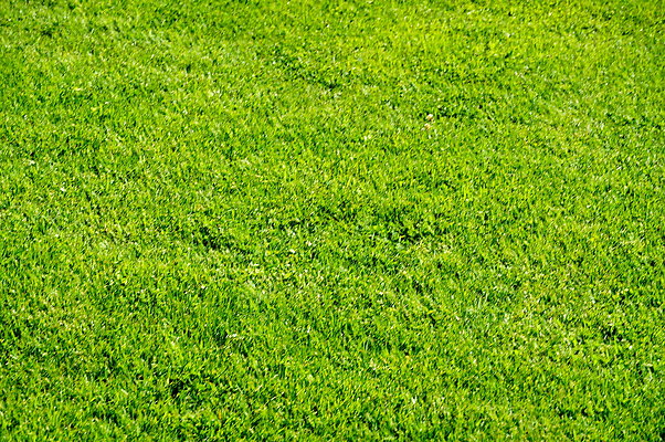 Will.Rogers.SP.Grass.04