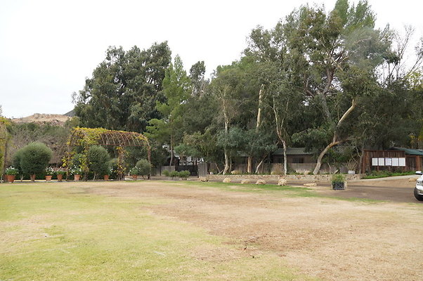 Calimigos.Feris.WHeel.Field.12