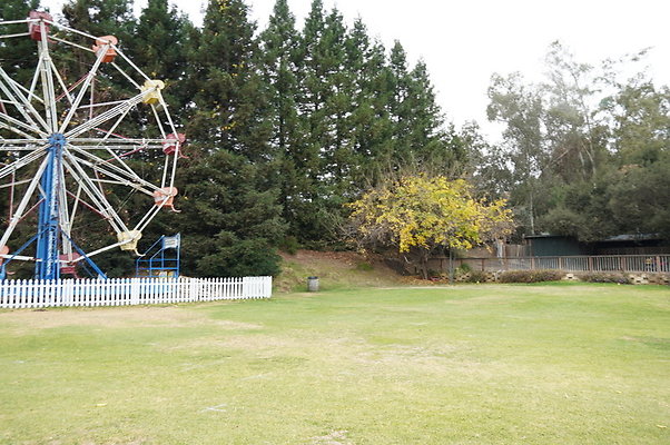 Calimigos.Feris.WHeel.Field.19