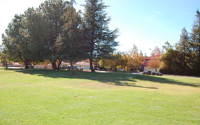 DSC 0218