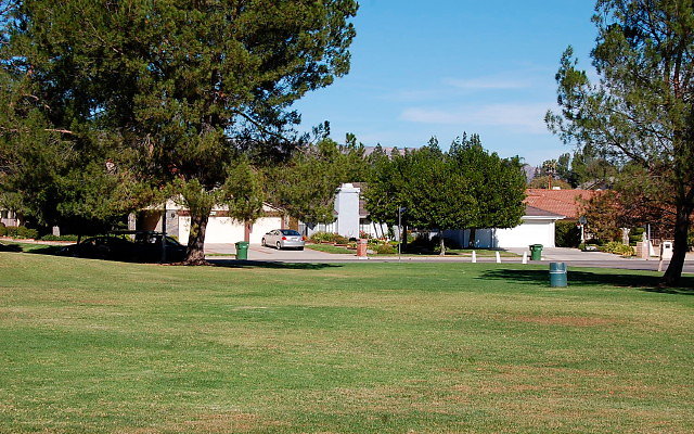 DSC 0215