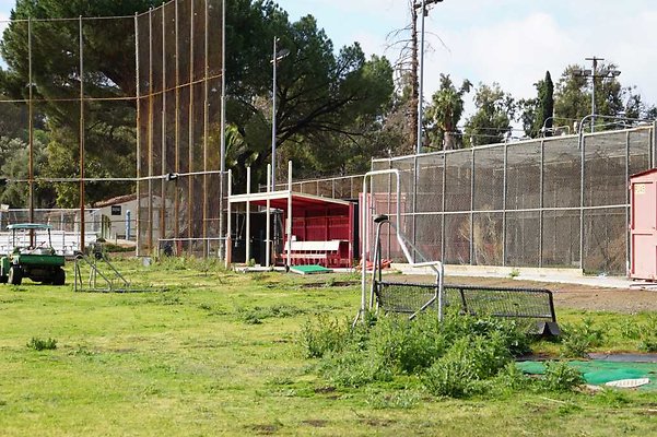 Pierce Baseball 65