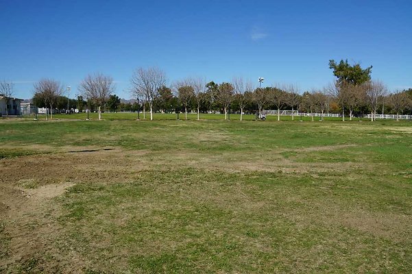 PierceNorthField 23
