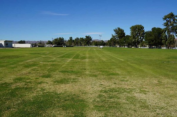 PierceNorthField 48
