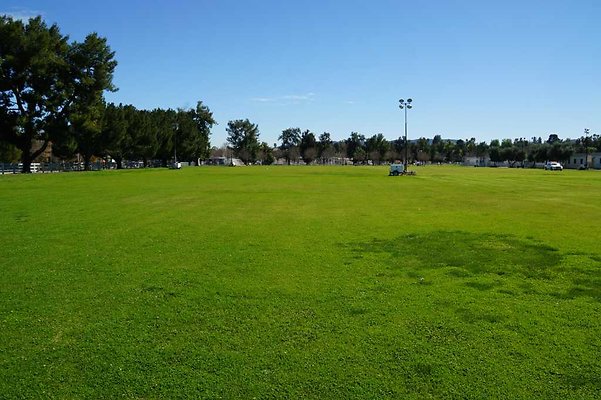 PierceNorthField 53