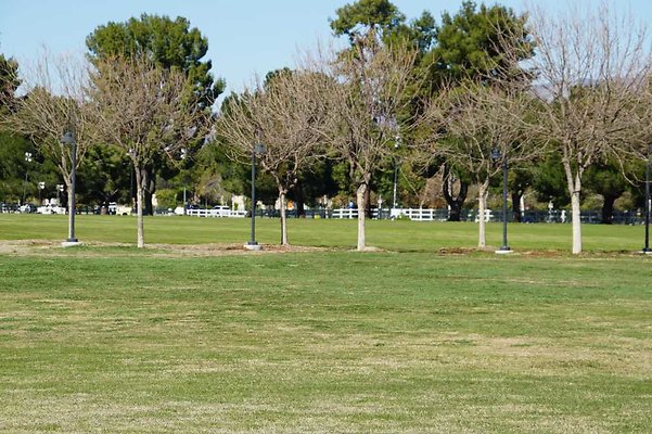 PierceNorthField 16