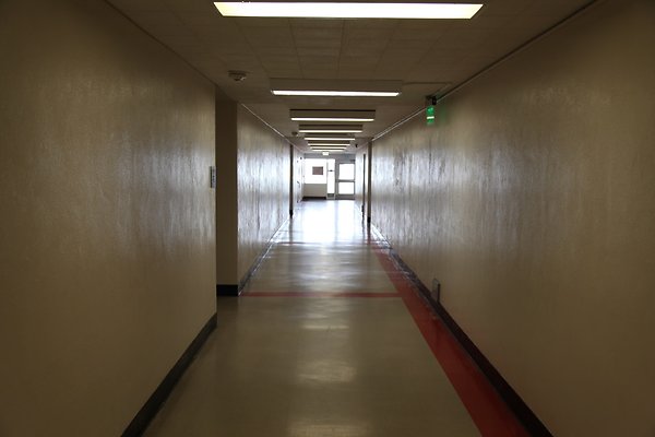 IMG 1370