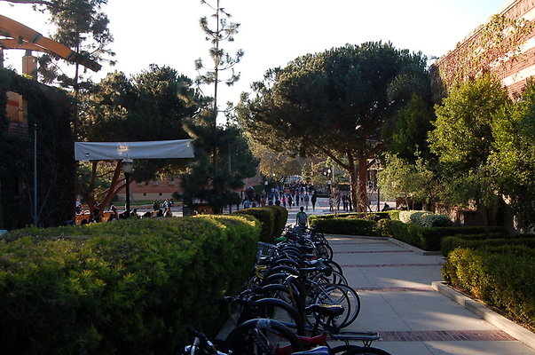 UCLA.Sac.Bld.007