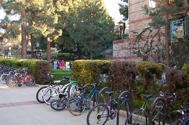 UCLA.Sac.Bld.002