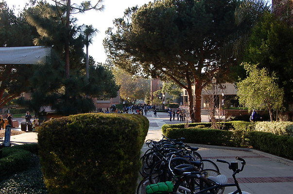 UCLA.Sac.Bld.006