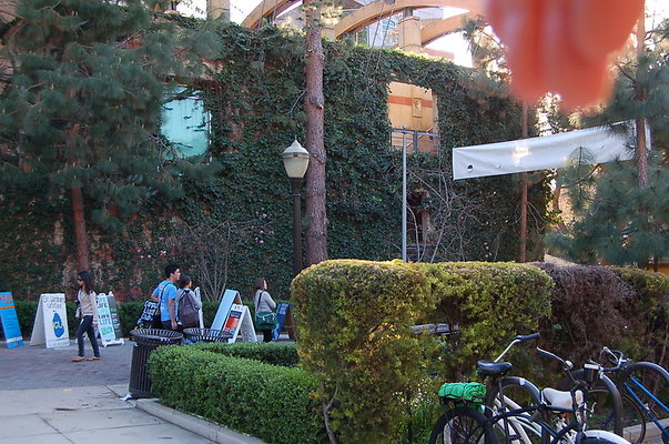 UCLA.Sac.Bld.005