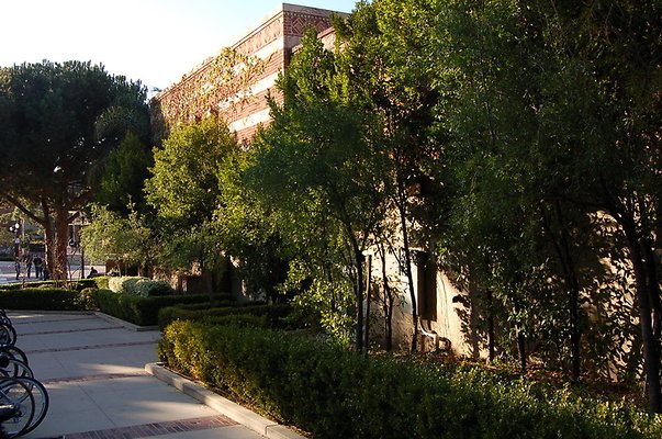 UCLA.Sac.Bld.008