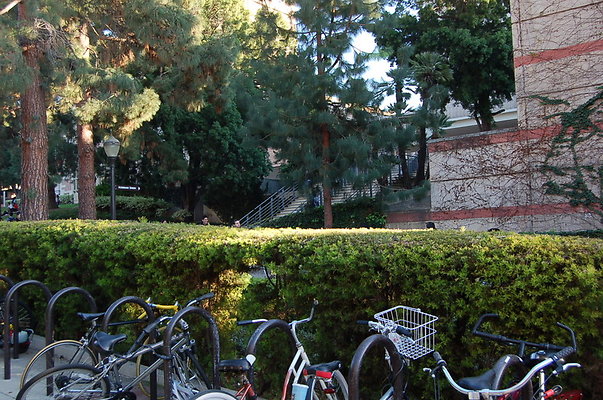 UCLA.Sac.Bld.003