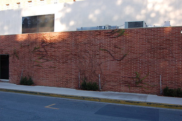 UCLA.Portola.Plaza.005