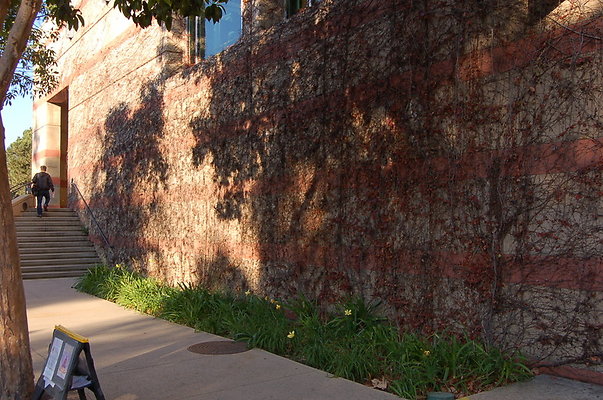 UCLA.Ackerman.Bld.Ext.006