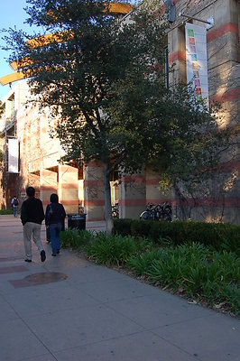 UCLA.Ackerman.Bld.Ext.009