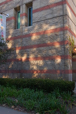 UCLA.Ackerman.Bld.Ext.008