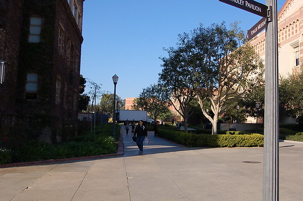 UCLA.Ashe.Bld.Ext.003