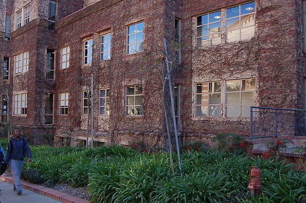 UCLA.Ashe.Bld.Ext.011