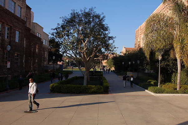 UCLA.Ashe.Bld.Ext.015